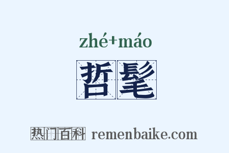 哲髦是什么意思的图片